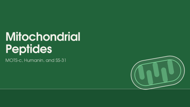 mitochondrial peptides MOTS-c humanin SS-31 cellular energy aging